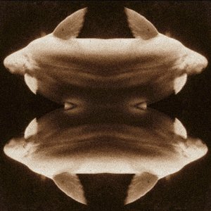 Do Fishes Dream of Dying Oceans?