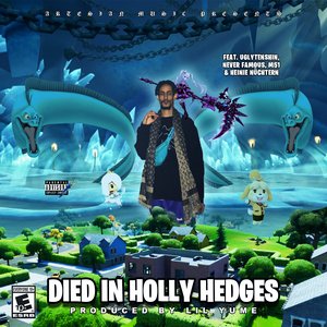 DIED IN HOLLY HEDGES