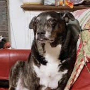 Avatar di Ruby's Pop Pop