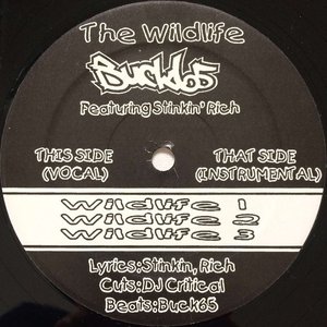 The Wildlife