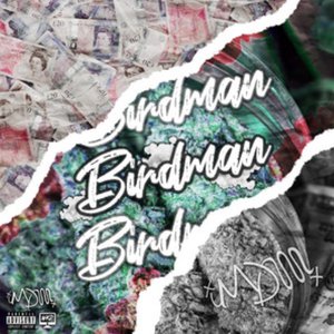 Birdman (feat. Od) - Single