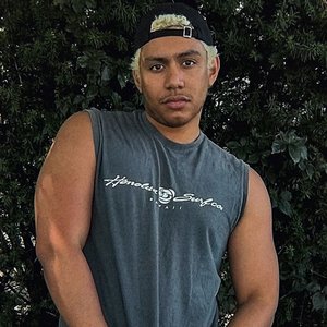 Nicholas Dante 的头像