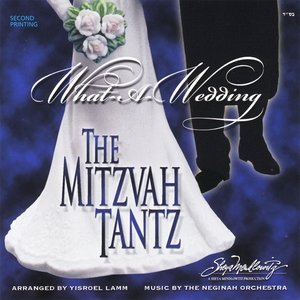 What A Wedding - The Mitzvah Tantz