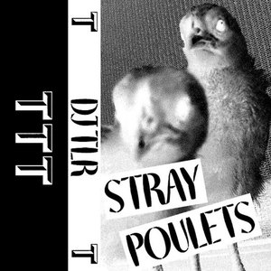 Stray Poulets