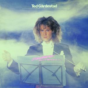 Stormvarning cover