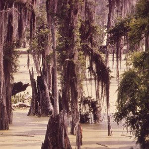 Do Not Go Gentle Into That Good Night