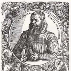 Melchior Neusiedler 的头像