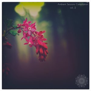 Ambient Sessions Compilation vol.2