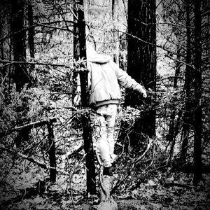 the lonely express - Single