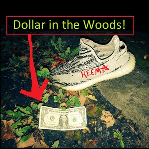 Dollar in the Woods! - Single