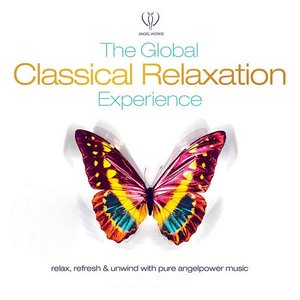 The Global Classical Relaxation Experience