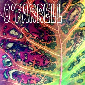 Image for 'O'Farrell'