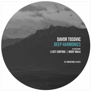 Deep Harmonics