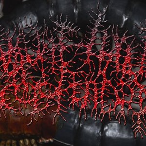 Avatar for Intraurrethral Scolopendra