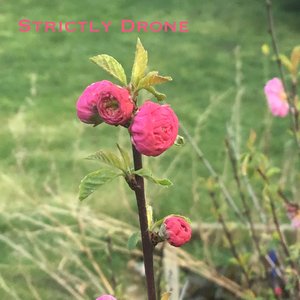 Strictly Drone