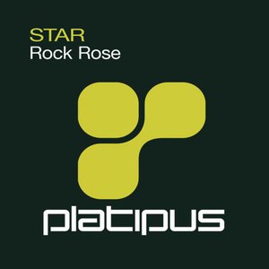 Rock Rose