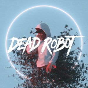 Image for 'Dead Robot'