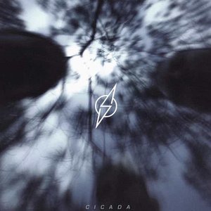 Cicada