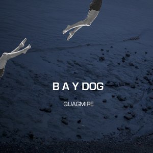 “Quagmire”的封面