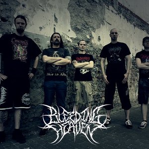 Bleeding Heaven 的头像