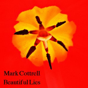 Beautiful Lies