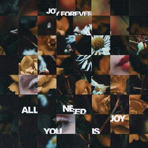 All You Need Is Joy