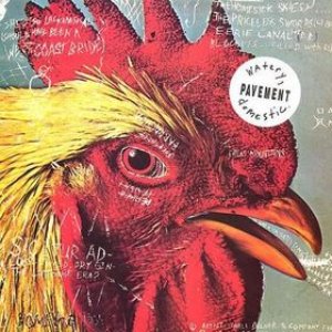 Pavement - Lions Lyrics - Zortam Music