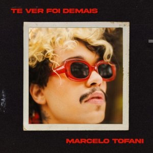 Te Ver Foi Demais