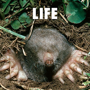 LIFE cover