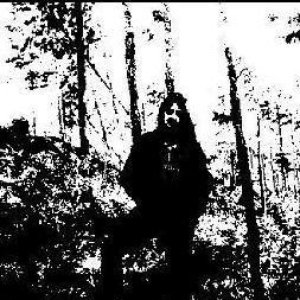 Woodsmarch 的头像