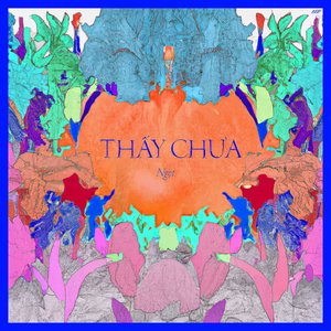 Thấy Chưa