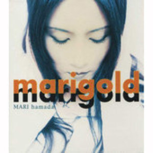 marigold cover