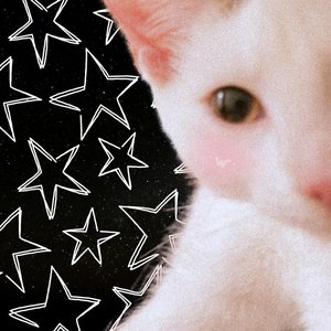 Silly Gay Bweakcore Awbum :3 - EP