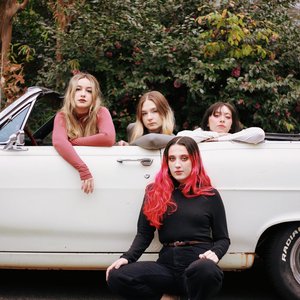 Paisley and the Birdwalkers 的头像