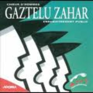 Image for 'Gaztelu Zahar'