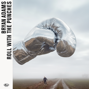Cover Bryan Adams – Roll With The Punches