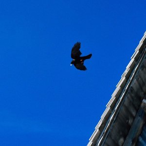 Tout résonne - Single