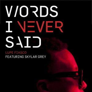 Words I Never Said (feat. Skylar Grey) - Single