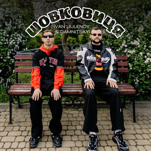 Artwork for ШОВКОВИЦЯ