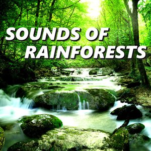 Sounds of Rainforests