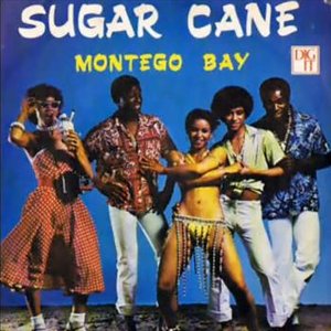 Avatar for Sugar Cane
