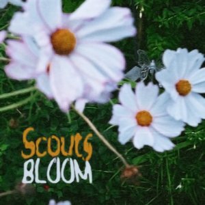 Bloom