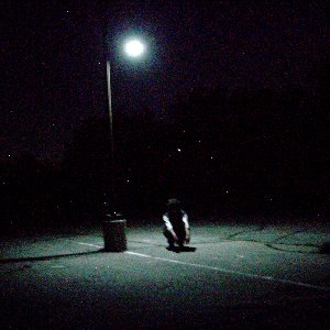 on the fence - Single