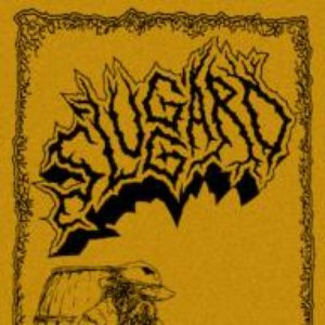 Sluggard