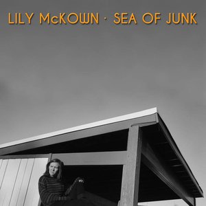 Sea of Junk