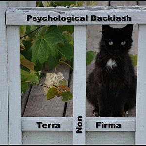 Terra Non-Firma