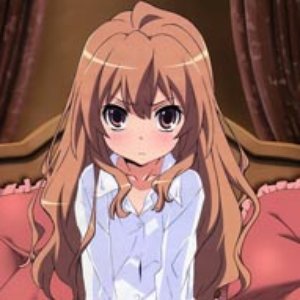 逢坂大河(CV.釘宮理恵) 的头像