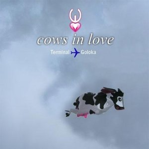 Avatar for Cows In Love
