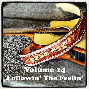 Volume 14 - Followin' The Feelin'