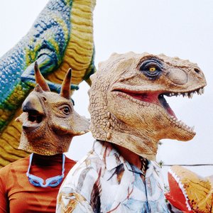 恐龙的皮 The Dinosaur’s Skin 的头像